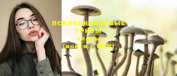 бошки Верхний Тагил