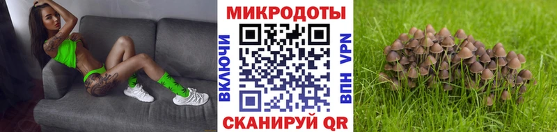 магазин продажи   Пойковский  Галлюциногенные грибы Cubensis 