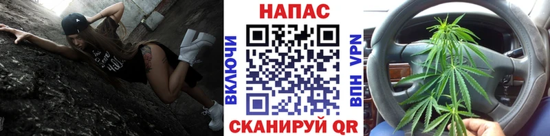 Шишки марихуана THC 21%  продажа наркотиков  Пойковский 